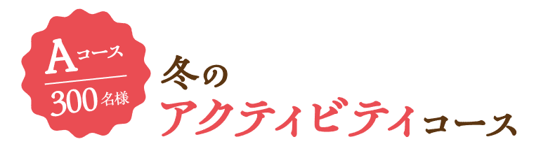 Aコース 300名様 冬のアクティビティコース