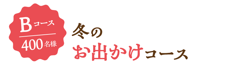 Bコース 400名様 冬のお出かけコース