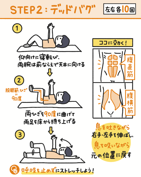 デッドバグのやり方の図