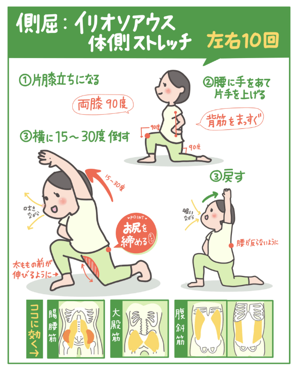 側屈 イリオソアウス体側ストレッチのイラスト