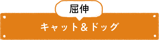 屈伸 キャット＆ドッグ