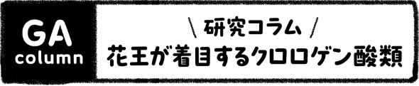 花王が着目するクロロゲン酸類