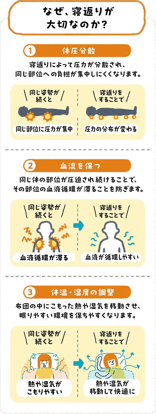 寝返りが大切な3つの理由を示した図解。①体圧分散で同じ部位への負担の集中を防ぐ、②血流を保ち同じ部位の血液循環が滞るのを防ぐ、③体温・湿度を調整し布団にこもった熱や湿気を移動させる、をそれぞれ同じ姿勢が続いた場合と比較して示している