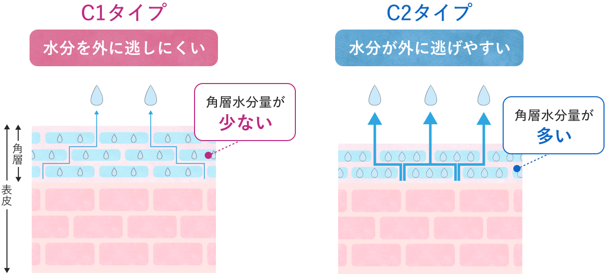 C1タイプ、C2タイプのイラスト
