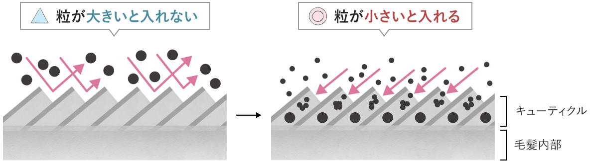 メラニンより小さな「黒髪メラニンのもと」