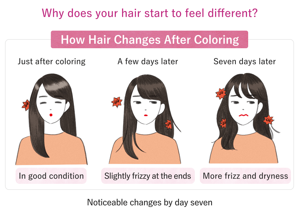 Why does that "off" feeling happen? A new H-Linx approach to addressing changes that appear seven days after hair coloring. The perception gap between color and damage: Immediately after coloring → A few days later → Seven days later.